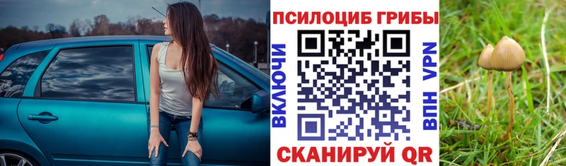 Галлюциногенные грибы прущие грибы  как найти наркотики  Бронницы 